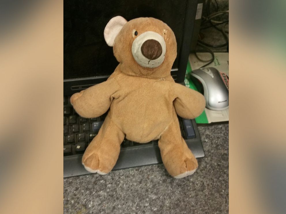 lost teddy bear