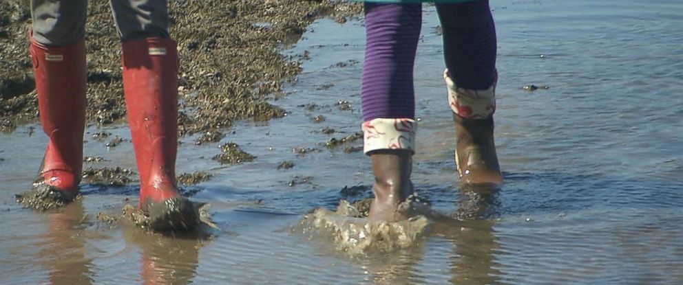rain boots wirecutter