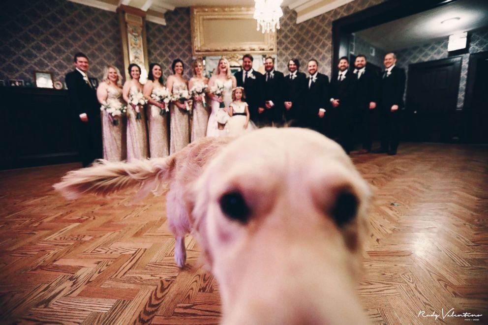 PHOTO: She and her husband, Kevin Schaefer, have had Norah for four years and consider her their dog-ter, she said.