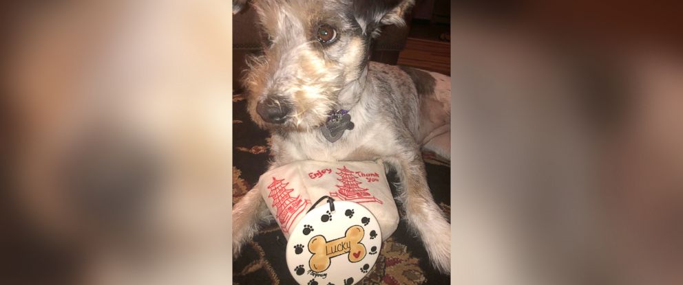 PHOTO: Orlando Ippolito and Otis Williams surprised their favorite dog Lucky with a personalized Christmas ornament for the holidays.
