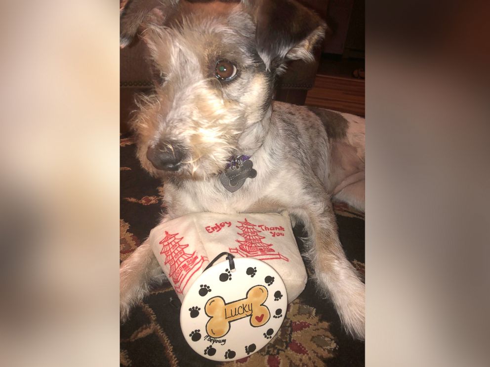 PHOTO: Orlando Ippolito and Otis Williams surprised their favorite dog Lucky with a personalized Christmas ornament for the holidays.