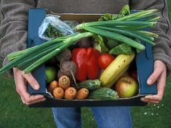blue apron food delivery services blue apron food delivery services