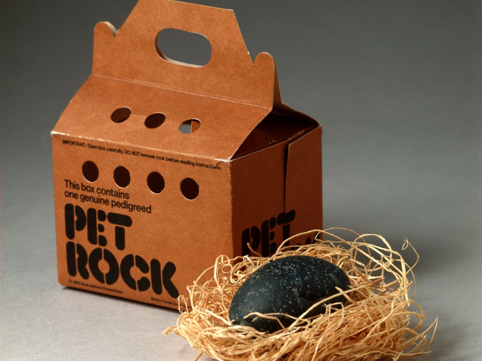 Image result for pet rock