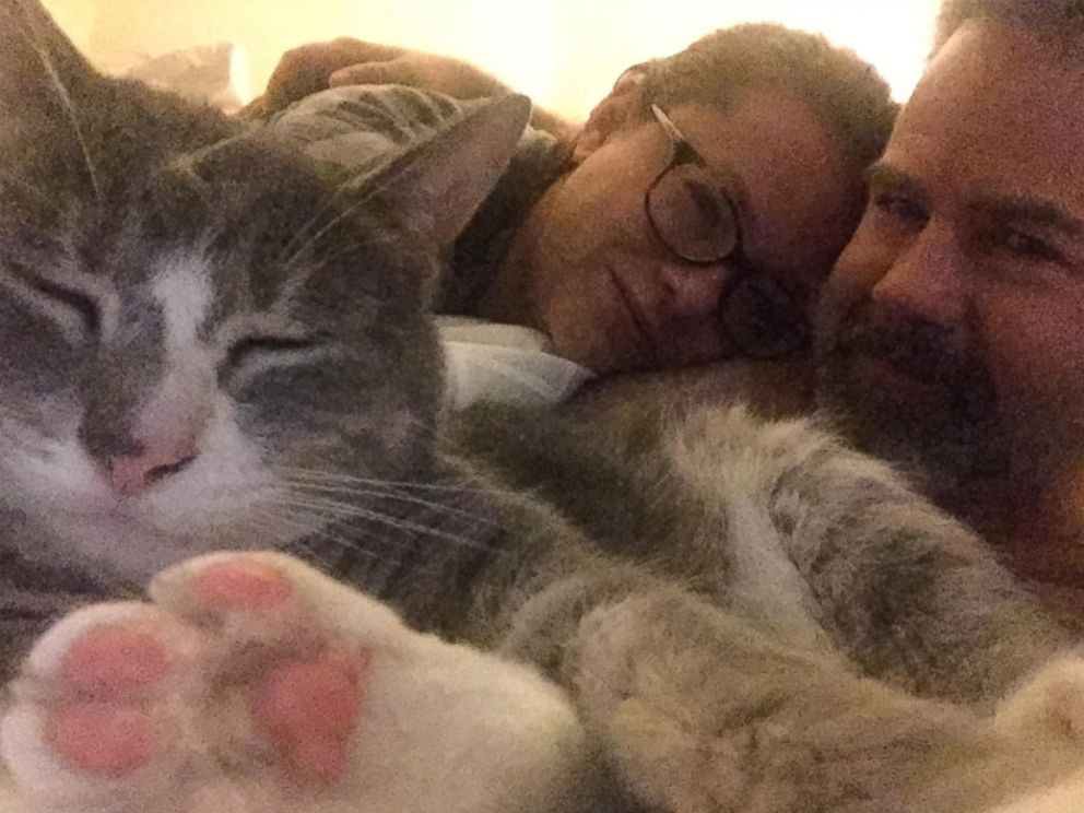 PHOTO: Mary Irwins jerk cat, Babou, has been found.