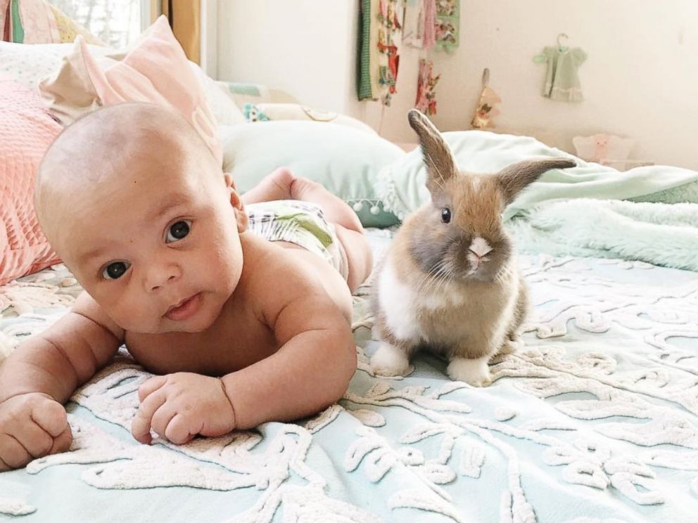 mom-s-photos-of-her-babies-cuddling-their-pet-bunnies-are-heaven-on