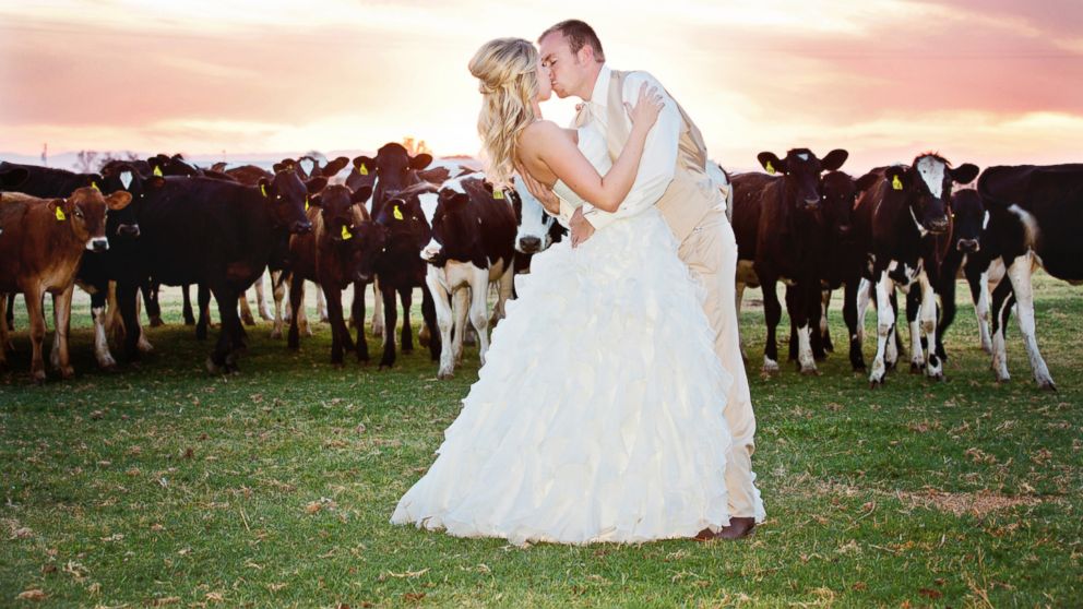 PHOTO: Kelly Clarksons music video for Tie It Up" featured brides and grooms taking vows at a dairy farm, reflecting a trend among couples.