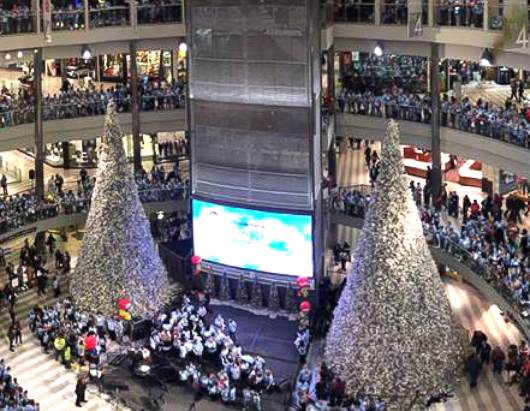lesser known christmas trees to visit this year picture lesser known christmas trees to visit this year picture