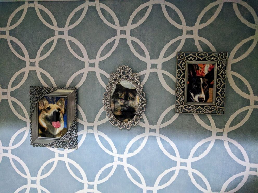 PHOTO: Jonathan and Lisa, of Havre de Grace, Maryland, turned a retro TV into a chic doggy paradise with stained glass windows.