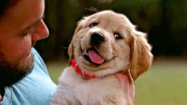 PHOTO: Davis Smith of Clemson, South Carolina, loves his new puppy, Molly, so much, he hired a professional photographer to capture photos.