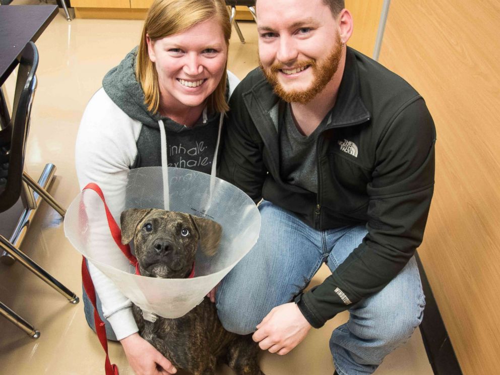 PHOTO: LifeLine Animal Project of Atlanta launched its Home for the Pawlidays project this year, and the dogs couldnt be happier.