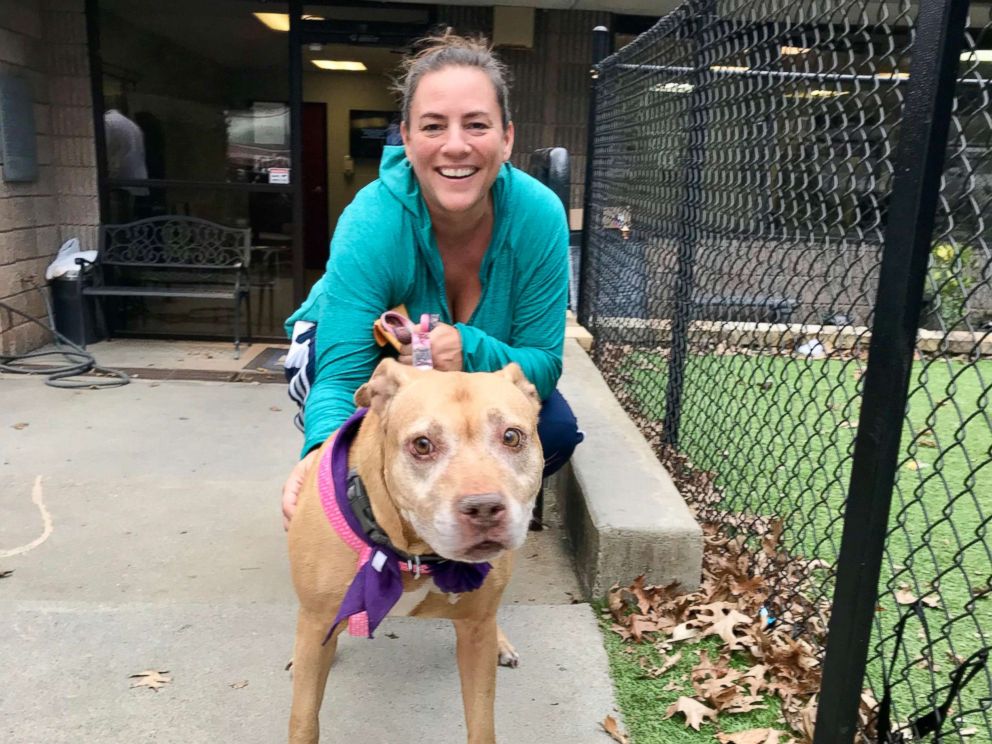 PHOTO: Missy the shelter dog is all smiles in the car on the way home with her foster mom, Heather Koth.