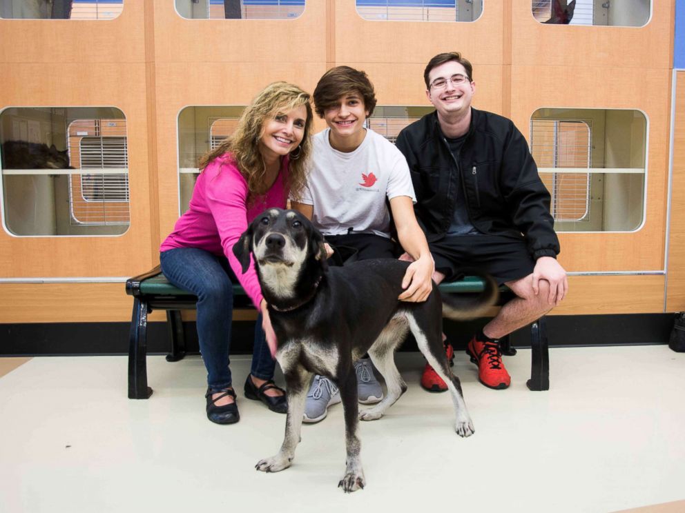 PHOTO: From Nov. 18 to 25, the dogs will get a break from the shelter to enjoy their new families.