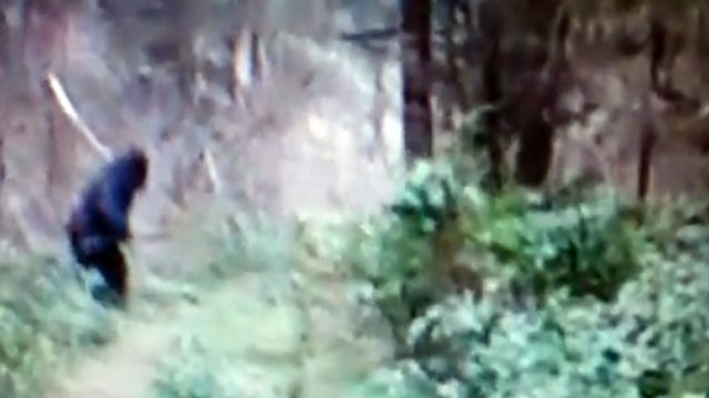 PHOTO: In a video posted to YouTube by HowTo101Channel, a suspected "Bigfoot" was seen running through the woods in Ohio.