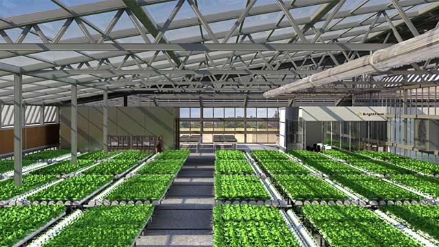 BrightFarms greenhouse design is shown in this artist's rendering 