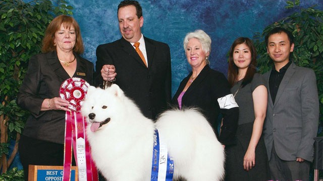 PHOTO: Taken at Samoyed Nationals in October 2012. In the photo from left to right are:  The Judge, Robert Chaffin (the Handler), Lynette Blue, Evy Widajaj  and her husband, Jonathan.