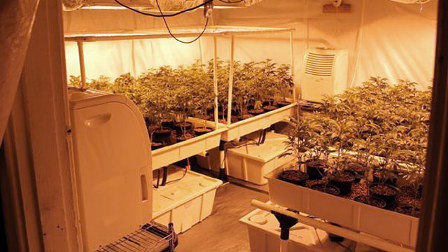 PHOTO: Warren County authorities uncovered a massive drug growing operation after a 17-year-old student was found dealing $20,000 worth of marijuana a month.