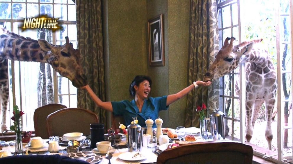 WATCH:  Eating breakfast with giraffes in Kenya