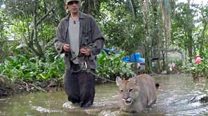 Photo: Walking with Jaguars
