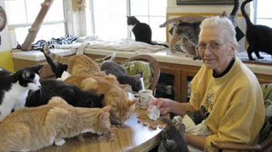 Animal Hoarders Fill Homes With Dozens of Pets
