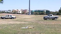 Mexican Border Violence