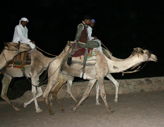 Mount Sinai