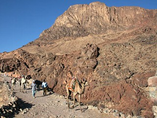 Photo: Mount Sinai