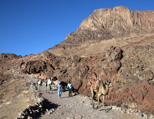 Mount Sinai
