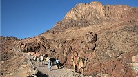 Photo: Mount Sinai