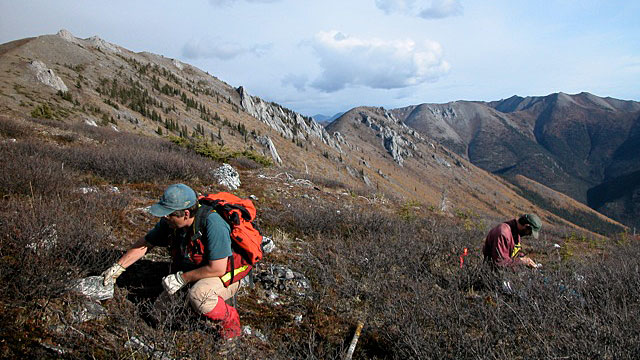 PHOTO: More than 100 years after the Klondike Gold Rush, prospector Shawn Ryan, and his wife, Cathy Wood, are leading the charge on a new gold rush in the region that has made them millionaires several times over.