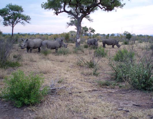 Earth Day South Africa