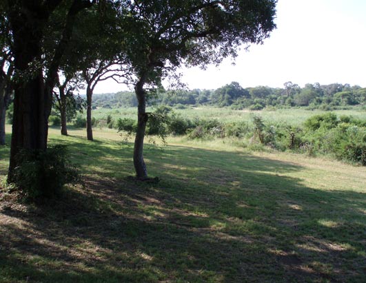 Earth Day South Africa