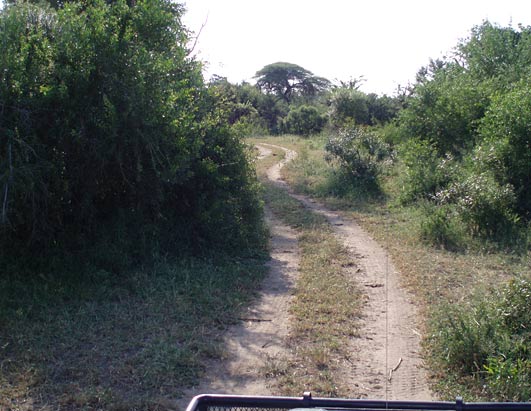 Earth Day South Africa