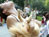 Doggie Yoga