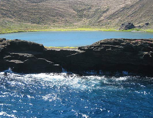 Galapagos