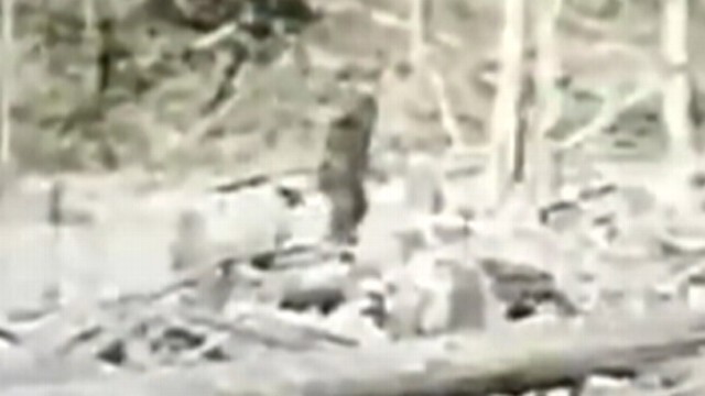 Finding Bigfoot