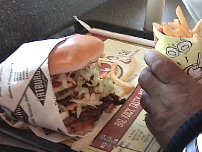 Fast Food Ban