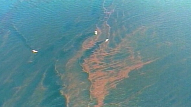 Journey to the Bottom of the Gulf