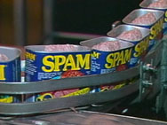 Spam