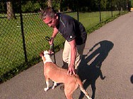 dog whisperer