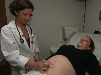 The Learning Womb