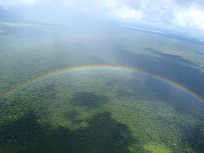 Photo: Searching for Pink Dolphins in Bolivias Amazon: When A Story in An Obscure Corner of the World Doesnt Turn Out Quite as Planned