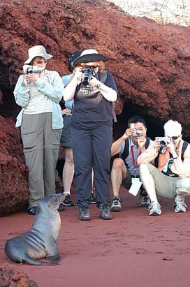 Galapagos