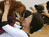 Doggie Yoga