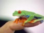 Florida's Unconventional Pet Store