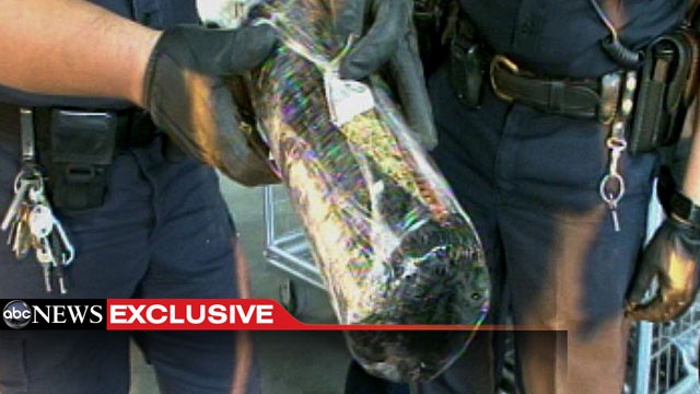PHOTO: "Nightline" was present in the midst of a two-week stretch of U.S. officials destroying more than $100 million worth of marijuana.