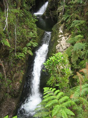 Pumalin Park