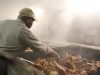 Southern Soul Food