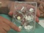 Vets Get Stem cell Backing
