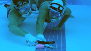 Photo: Underwater hockey practice at the University of Florida