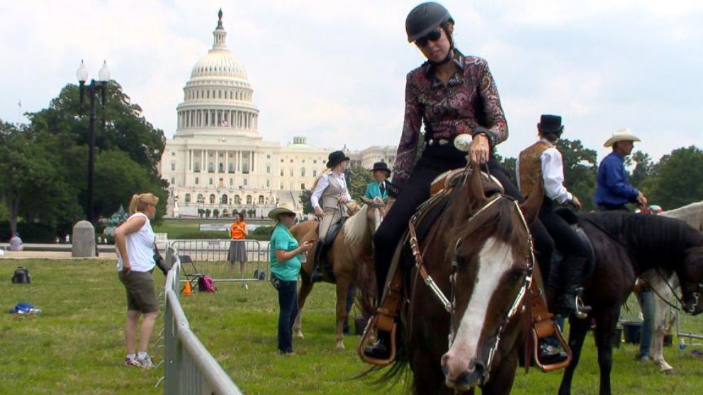 Congress allowing horse abuse? Bill to tighten rules against soring stalled